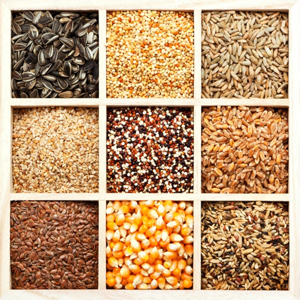 Seed and Crops